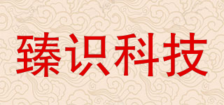 臻识科技(Vision Zenith)