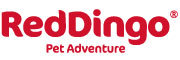 瑞鼎狗(RedDingo)
